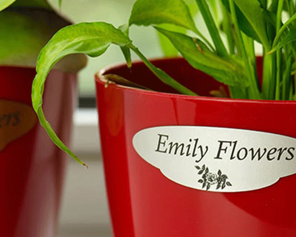 material-grabado-flexilase-etiqueta-planta-maceta-plastico.img