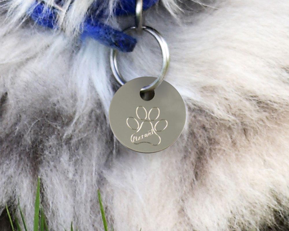 sector-personalizacion-medallas-mascotas-gato.img