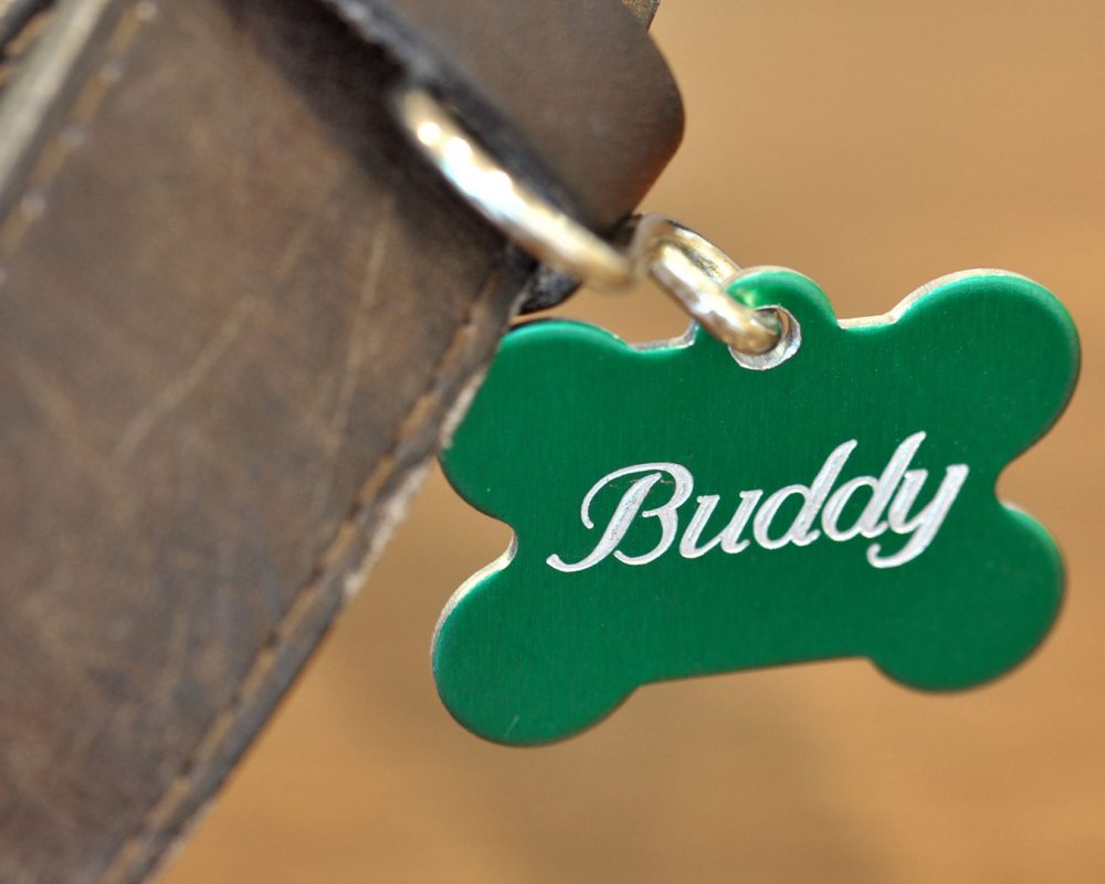 sector-personalizacion-medallas-mascotas-perro-buddy.img