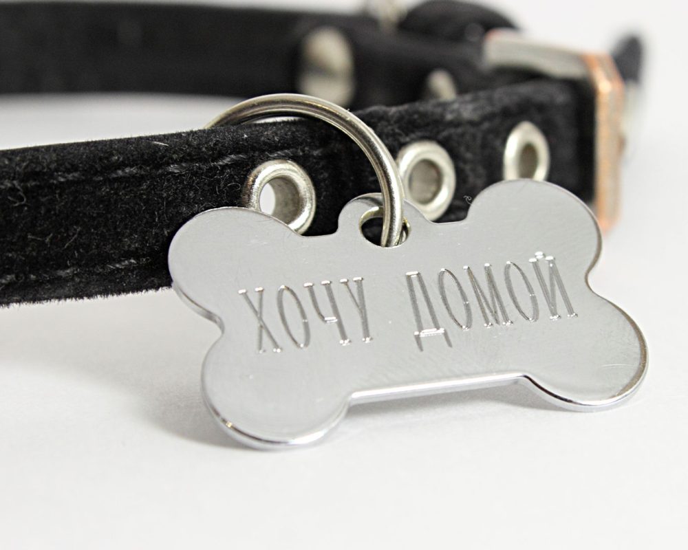 sector-personalizacion-medallas-mascotas-perro-hueso.img
