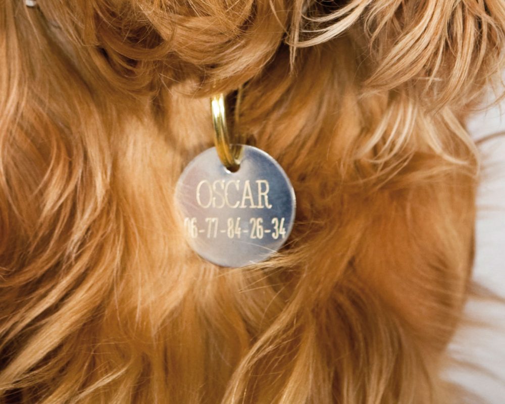 sector-personalizacion-medallas-mascotas-perro-oscar.img